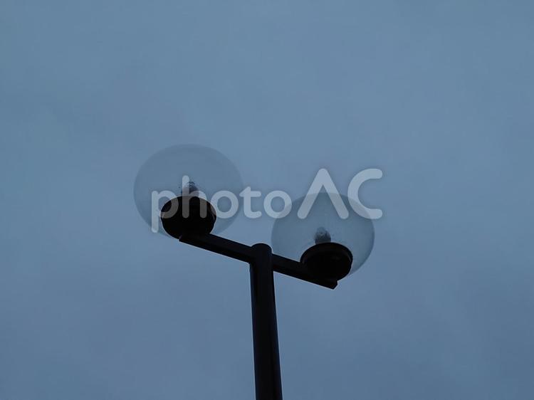 薄暗い空と街路灯 電灯,薄暗い,曇りの写真素材