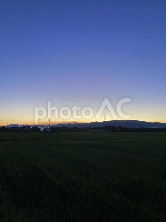 マジックアワー（縦） 夕焼け,夕暮れ,トワイライトの写真素材