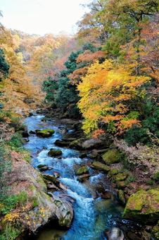 出雲神話の舞台、鬼の舌震の紅葉 出雲神話の舞台、鬼の舌震の紅葉の写真