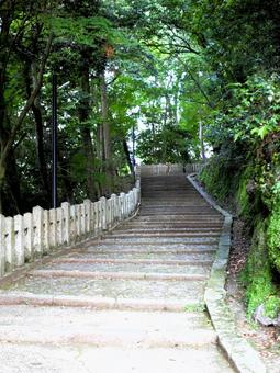 柏原八幡宮参道(兵庫県丹波市) 柏原八幡宮参道(兵庫県丹波市)の写真