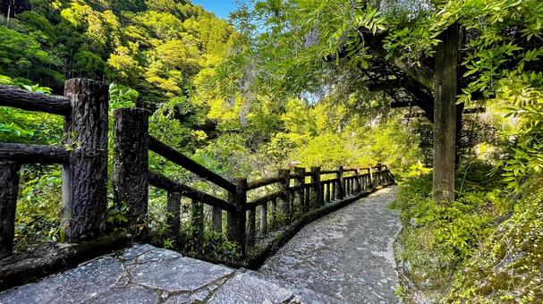 雄淵雌淵公園の奇石渓谷美 雄淵雌淵公園,佐賀市,古湯温泉の写真素材