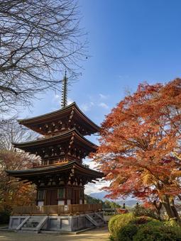 青空に映える岡寺の秋塔 岡寺,明日香村,奈良の写真素材