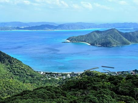奄美自然観察の森から眺める龍郷湾 龍郷湾,奄美自然観察の森,自然の写真素材
