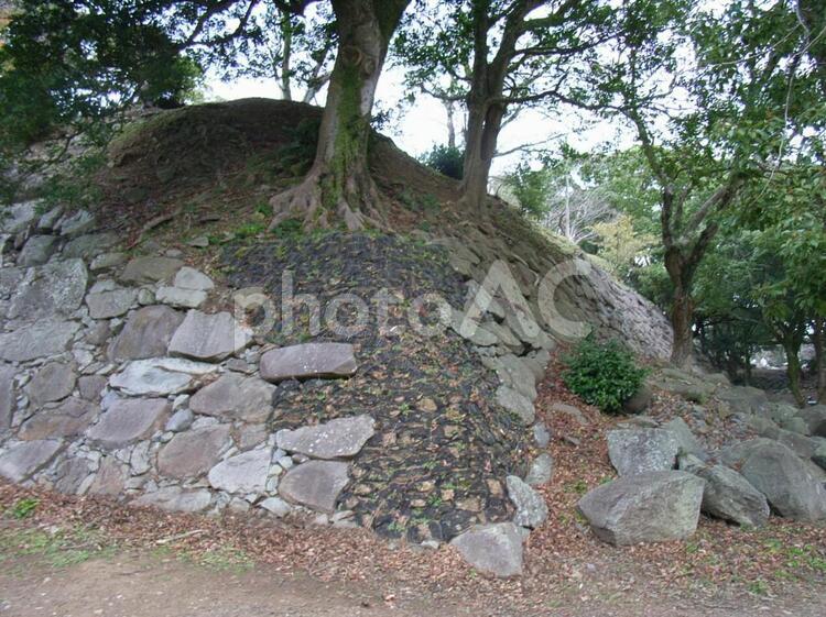 名護屋城三の丸石垣 名護屋城の写真素材