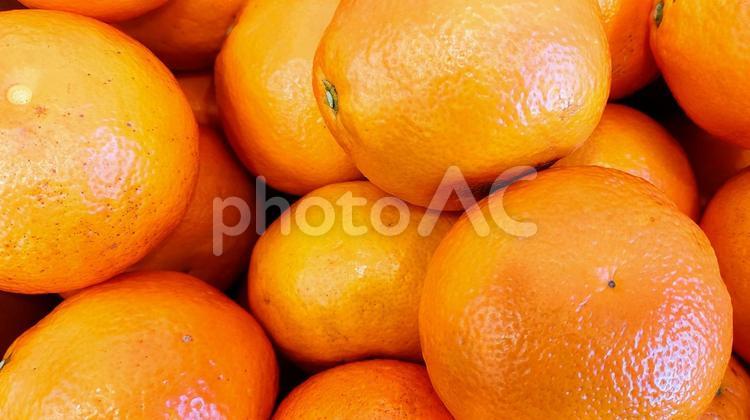 新鮮でジューシーなみかんのクローズアップ みかん,柑橘類,フルーツの写真素材