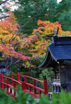 京都の橋と紅葉 京都の橋と紅葉の写真