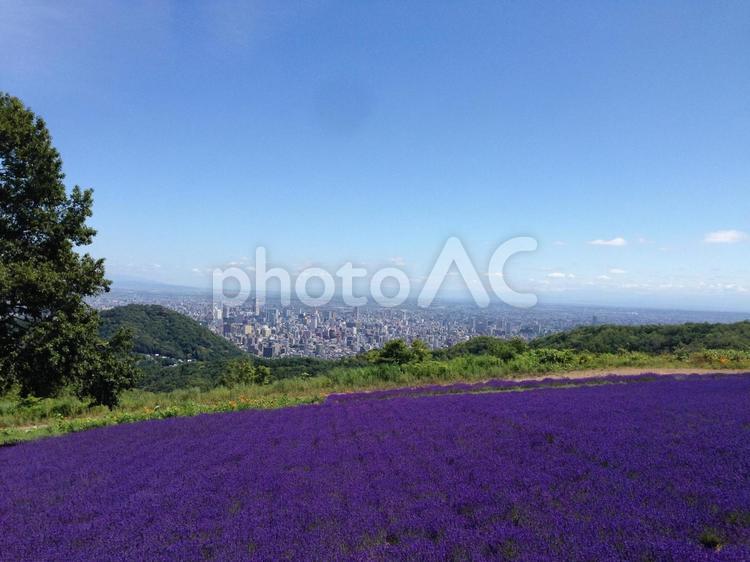 幌見峠から札幌市街を望む 幌見峠,札幌,北海道の写真素材
