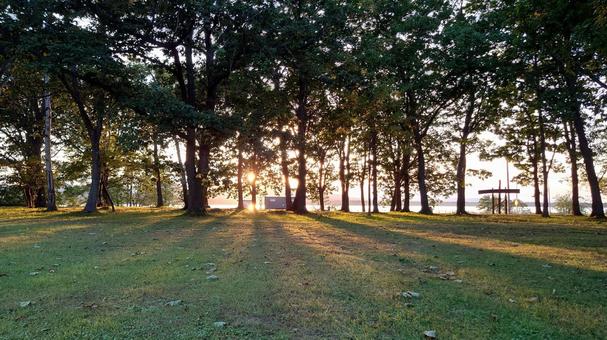 夕日 夕日 自然,風景,木々の写真素材