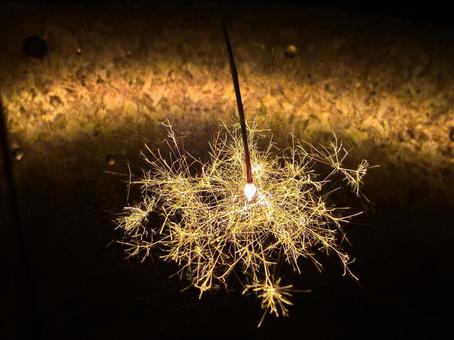 線香花火 線香花火の写真