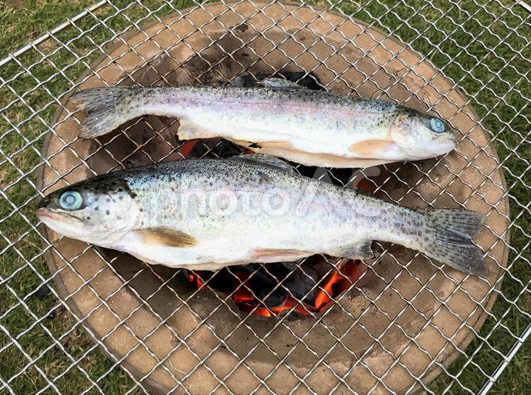 ニジマスの炭火焼き ニジマス,七輪,川魚料理の写真素材