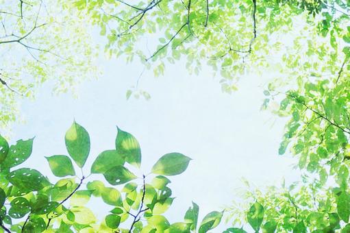 A dazzling green background with sunlight filtering through the fresh greenery, fresh green, glitter, background, JPG