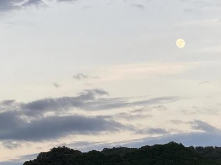 もうじき満月 もうじき満月 夕暮れ,月,空の写真素材