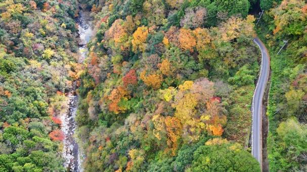 秋色に染まる山の風景 2 秋色に染まる山の風景 2の写真