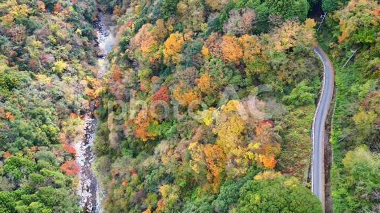 秋色に染まる山の風景 2 山道,紅葉,山の写真素材