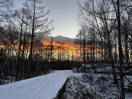 朝焼けとともに 冬,冬景色,自然の写真素材