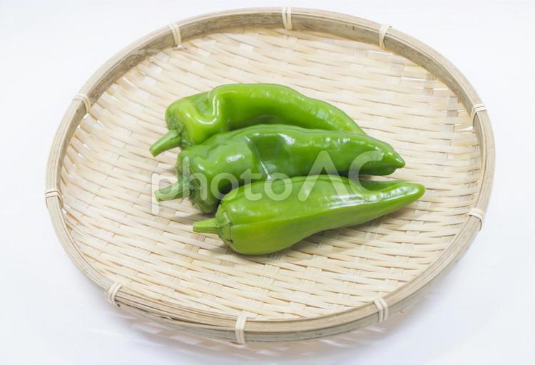 ジャンボししとう ジャンボししとう,ししとう,野菜の写真素材