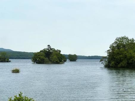 大沼公園 大沼公園の写真