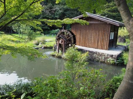 水車 美しい,幻想的,自然の写真素材
