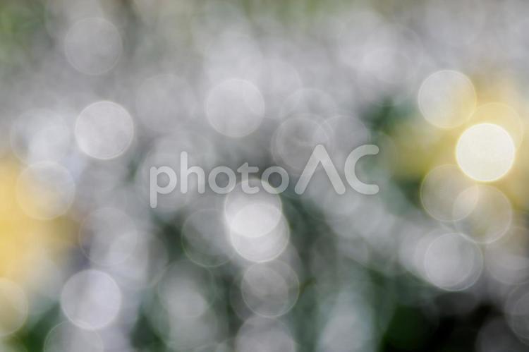 玉ボケ⑶ 玉ボケ,光,背景の写真素材