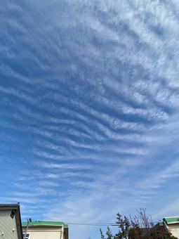Photo, iwaki cloud, sky, scales of clouds, 