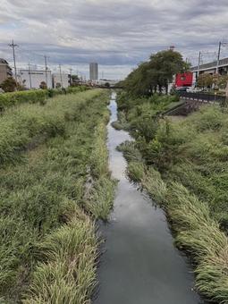街中の自然 街中の自然 川,河川,穏やかの写真素材