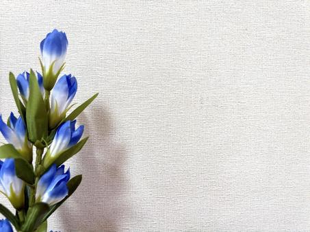 りんどう|壁際2 りんどう|壁際2の写真
