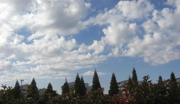 November Clouds-9, JPG