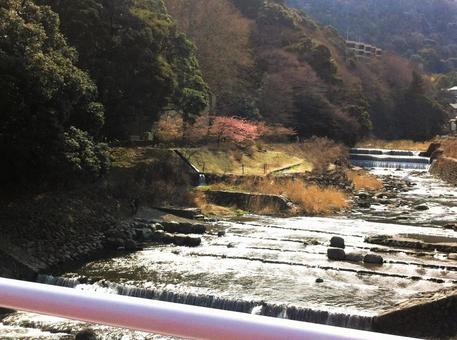 箱根湯本のあじさい橋から早川をのぞむ2 箱根湯本のあじさい橋から早川をのぞむ2 箱根,湯本,あじさい橋の写真素材