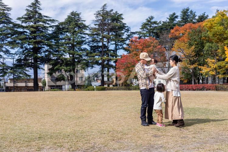 秋の公園を散歩する家族・ファミリー 家族,ファミリー,ピクニックの写真素材