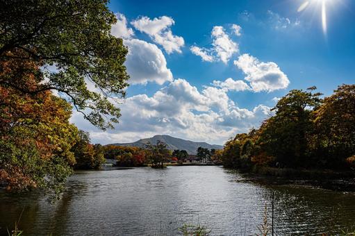 北海道　大沼国定公園　秋の風景 北海道,大沼,函館の写真素材