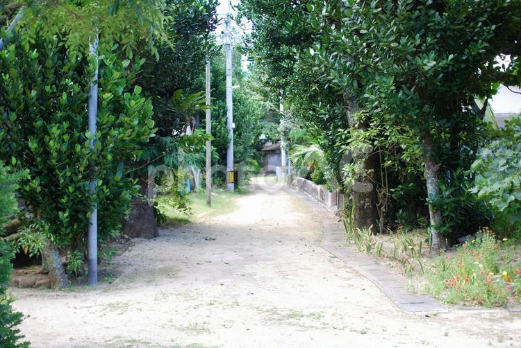 西表島の風景 沖縄,風景,自然の写真素材