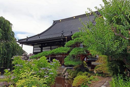 貞松院(諏訪) 貞松院(諏訪) 貞松院,浄土宗,無哲上人の写真素材