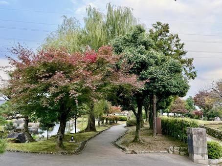 秋の夕方　福井県紫式部公園 紫式部公園,福井県,庭園の写真素材