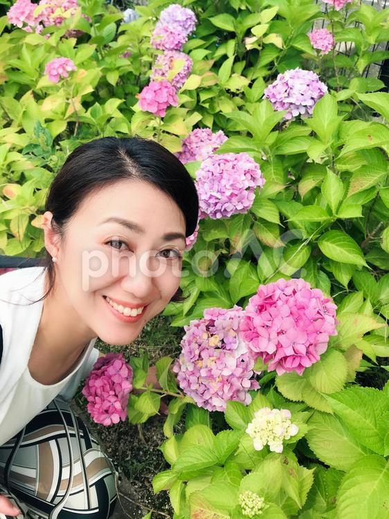 アジサイと女性 女性,人物,日本人の写真素材