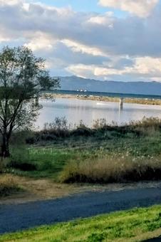 阿武隈川 阿武隈川 阿武隈川,川,河川敷の写真素材