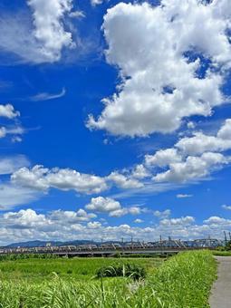 京都桂の桂川沿いからの風景 京都桂の桂川沿いからの風景の写真