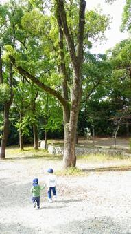 公園 公園の写真