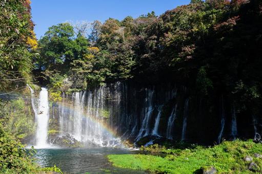 静岡 虹がかかる白糸の滝 静岡 虹がかかる白糸の滝 白糸の滝,静岡,滝の写真素材
