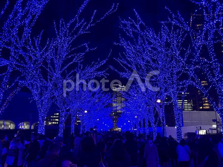 渋谷の青の洞窟イルミネーション クリスマス,イルミネーション,青の洞窟の写真素材