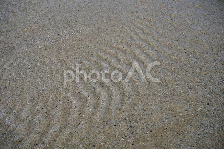 日本海の砂浜２　笹川流れ 日本海,砂浜,海の写真素材