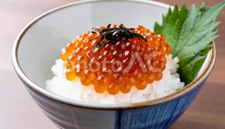 ご飯にイクラをたっぷりのせて食べる いくら丼,いくら,丼物の写真素材