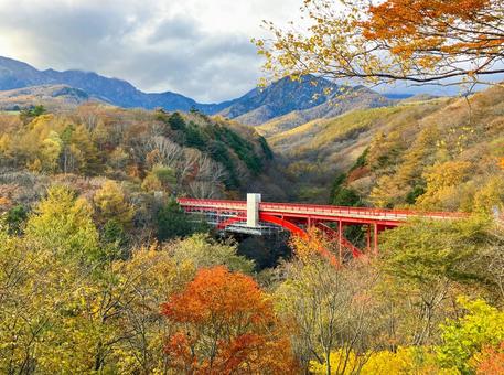 紅葉に染まる東沢大橋と八ヶ岳 東沢大橋,橋,秋の写真素材