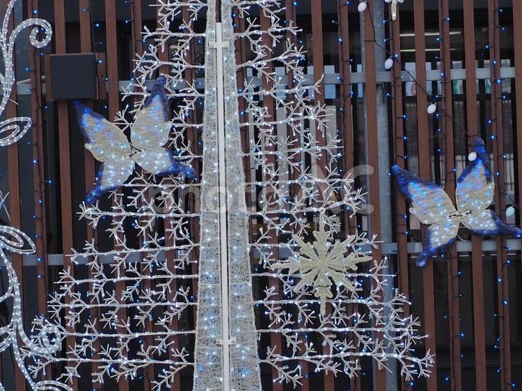 冬の伊丹空港 冬,伊丹空港,壁の写真素材