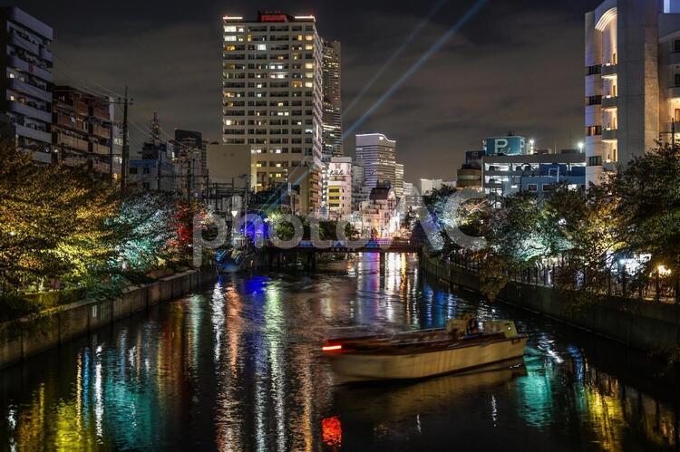 大岡川のライトアップと横浜の街並み 大岡川,川,横浜の写真素材