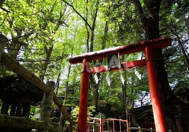 白石神社　初夏の神寄谷 白石神社,神寄谷,龍神の写真素材