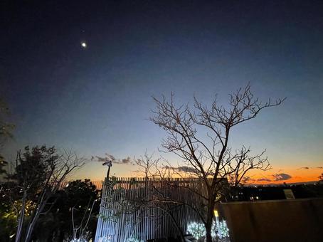 夕暮れの公園の枯れ木と小さな月 夕暮れの公園の枯れ木と小さな月 公園,空,雲の写真素材