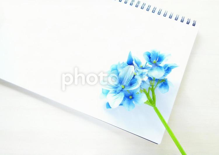 青い花とスケッチブック（２） スケッチブック,リングノート,画用紙の写真素材