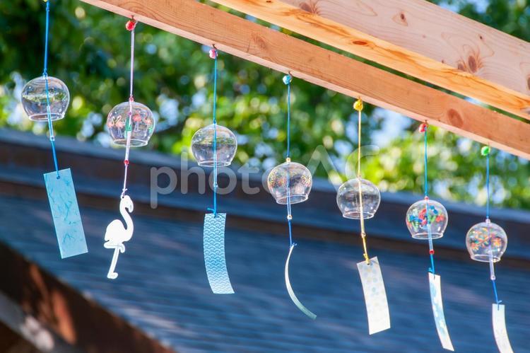 夏を彩る風鈴たち11 風鈴,夏祭り,夏の写真素材
