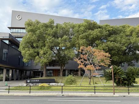 八代市役所 熊本,日本,市役所の写真素材