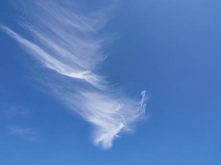 青空と薄い筋雲 青空と薄い筋雲 空,空背景,筋雲の写真素材